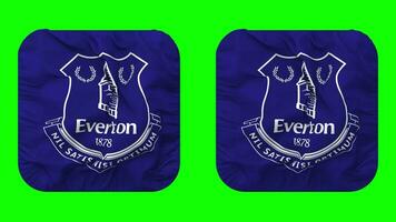 Everton fútbol americano club bandera en escudero forma aislado con llanura y bache textura, 3d representación, verde pantalla, alfa mate video