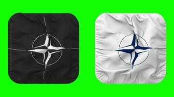 norte atlántico tratado organización, OTAN bandera en escudero forma aislado con llanura y bache textura, 3d representación, verde pantalla, alfa mate video