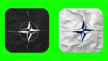 Norden atlantisch Vertrag Organisation, nato Flagge im Knappe gestalten isoliert mit einfach und stoßen Textur, 3d Wiedergabe, Grün Bildschirm, Alpha matt video