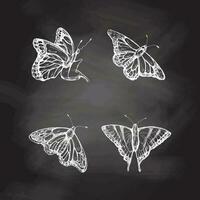 Hand drawn butterfly sketch set on chalkboard background. Monochrome insects doodle. Black and white vintage elements. Vector sketch. Detailed retro style.