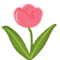 red tulip flower clipart png