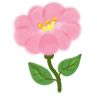 Pink flower garden png