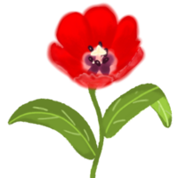 red tulip flower clipart png