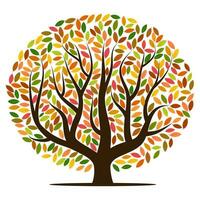 Autumn tree with yellow, orange, brown and green leaves. Vector illustration