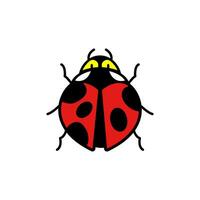 Ladybug animal cartoon character vector illustration in cute style for sticker, icon, logo, tattoo and advertising