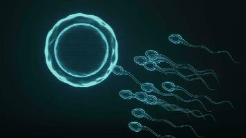 holographisch Bild von Sperma und Ei Zelle, futuristisch Element, 3d Wiedergabe. video