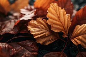 Close up of beautiful autumn leaves with water drops. Natural background AI generated photo