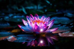 Beautiful pink water lily or lotus flower on dark background AI Generated photo