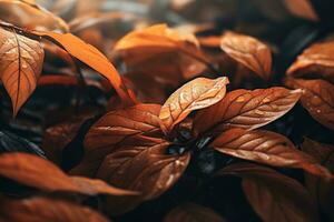 cerca arriba de hermosa otoño hojas con agua gotas. natural antecedentes ai generado foto