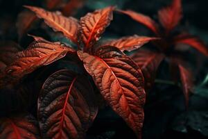 Close up of beautiful autumn leaves with water drops. Natural background AI generated photo