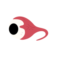 illustration av eyeball png