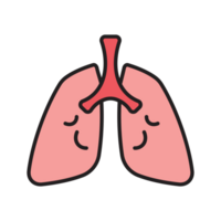 a lungs illustration png