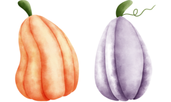 ensemble de aquarelle citrouilles illustration pour l'automne décorations.orange et violet citrouilles illustration. png