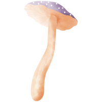 Watercolor fly agaric mushroom clipart.Cute purple fly agaric illustration. png