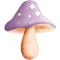 Watercolor cute purple fly agaric mushroom clipart.Fly agaric illustration.Fungi illustration. png