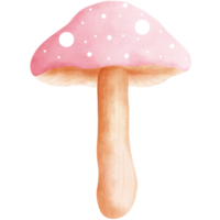 Watercolor adorable pink fly agaric mushroom clipart.Fly agaric illustration. png