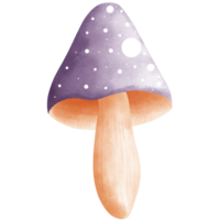 Watercolor cute fly agaric mushroom clipart.Cute purple fly agaric illustration. png