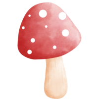 Watercolor red fly agaric mushroom clipart.Cute red fly agaric illustration. png