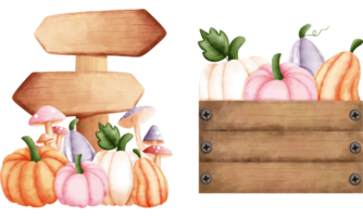 Rustic watercolor wooden sign and wooden box with colorful pumpkins illustrations. png