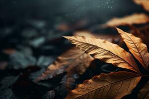 Close up of beautiful autumn leaves with water drops. Natural background AI generated photo