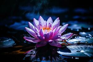 Beautiful pink water lily or lotus flower on dark background AI Generated photo