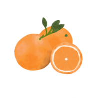 Cute fruit illustration. Pro PNG