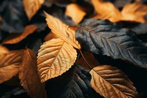 Close up of beautiful autumn leaves with water drops. Natural background AI Generated photo