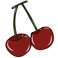 kersen fruit illustratie png