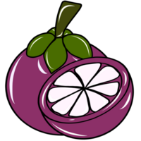 Mangostan-Frucht-Illustration png