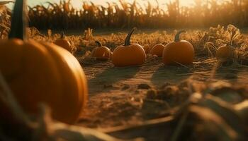 Pumpkin lanterns decorate autumn farm, symbolizing Halloween celebration and harvest generated by AI photo