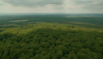 tranquilo escena naturaleza belleza en panorámico aéreo ver generado por ai foto