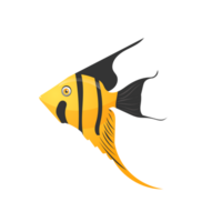 Beautiful sea fish png