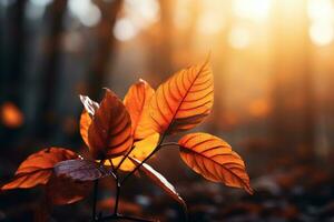 Close up of beautiful autumn leaves with water drops. Natural background AI generated photo