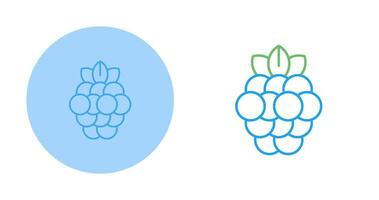 Raspberry Vector Icon