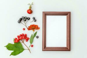 Autumn floral composition. Vertical frame mockup chokeberry rowan berries colorful leaves dogrose flowers on white background. Fall natural plants ecology concept. Flat lay top view, copy space photo