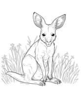 Kangaroo coloring page for kids vector