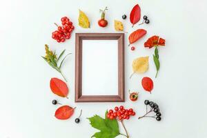 Autumn floral composition. Vertical frame mockup chokeberry rowan berries colorful leaves dogrose flowers on white background. Fall natural plants ecology concept. Flat lay top view, copy space photo