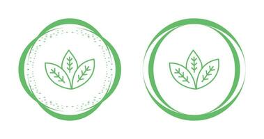 Spearmint Vector Icon