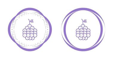 Raspberry Vector Icon