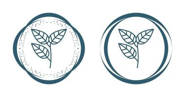 Leaves Vector Icon