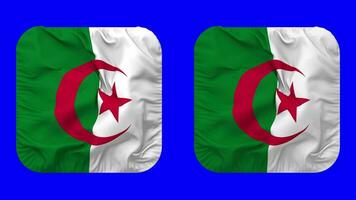 Algeria Flag in Squire Shape Isolated with Plain and Bump Texture, 3D Rendering, Green Screen, Alpha Matte video