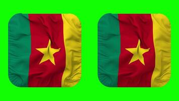 Cameroon Flag in Squire Shape Isolated with Plain and Bump Texture, 3D Rendering, Green Screen, Alpha Matte video