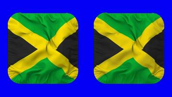 Jamaica vlag in schildknaap vorm geïsoleerd met duidelijk en buil textuur, 3d weergave, groen scherm, alpha matte video