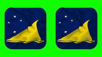 tokelau öar flagga i väpnare form isolerat med enkel och stöta textur, 3d tolkning, grön skärm, alfa matt video