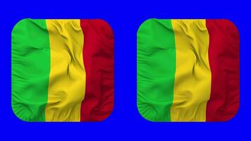 Mali Flag in Squire Shape Isolated with Plain and Bump Texture, 3D Rendering, Green Screen, Alpha Matte video