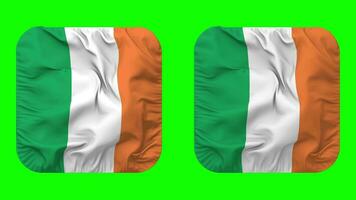 Irlanda bandera en escudero forma aislado con llanura y bache textura, 3d representación, verde pantalla, alfa mate video