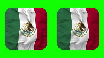 Mexico vlag in schildknaap vorm geïsoleerd met duidelijk en buil textuur, 3d weergave, groen scherm, alpha matte video