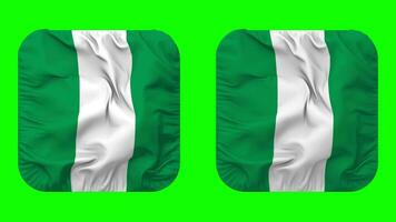 Nigeria drapeau dans écuyer forme isolé avec plaine et bosse texture, 3d le rendu, vert filtrer, alpha mat video