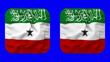 Somaliland drapeau dans écuyer forme isolé avec plaine et bosse texture, 3d le rendu, vert filtrer, alpha mat video