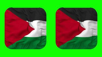 Palestine Flag in Squire Shape Isolated with Plain and Bump Texture, 3D Rendering, Green Screen, Alpha Matte video